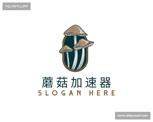 了解蘑菇加速器